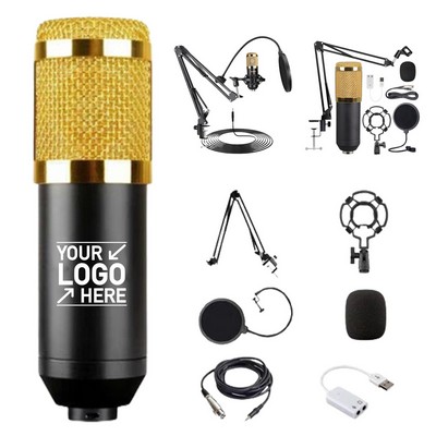 Professional Recording Condenser Microphone Kit